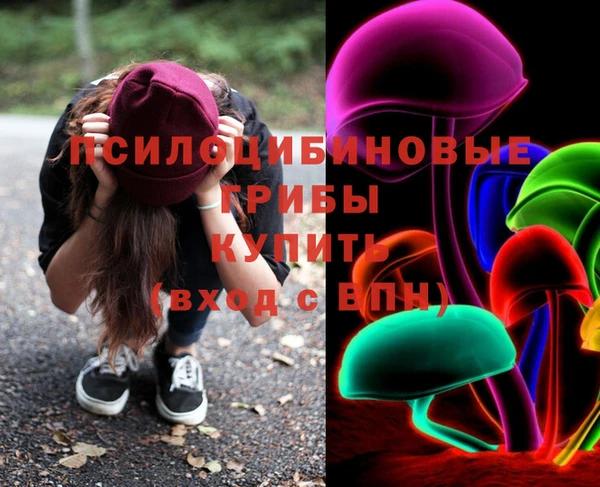 a pvp Рославль