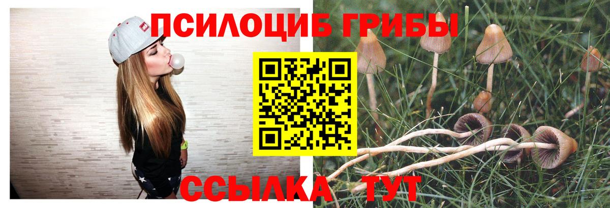 Звенигород  Псилоцибиновые грибы Magic Shrooms  Вход с VPN  Галлюциногенные грибы ЛСД 