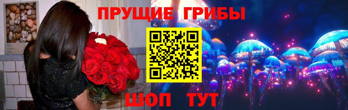 Галлюциногенные грибы Cubensis Звенигород
